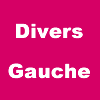 Avec le parti politique Divers Gauche (DVG) Francis Courel propose sa candidature pour la ville de Saint Etienne l'Allier au 1er tour